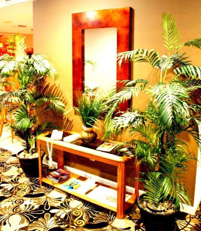 Homestyle Inn And Suites 스프링필드 외부 사진